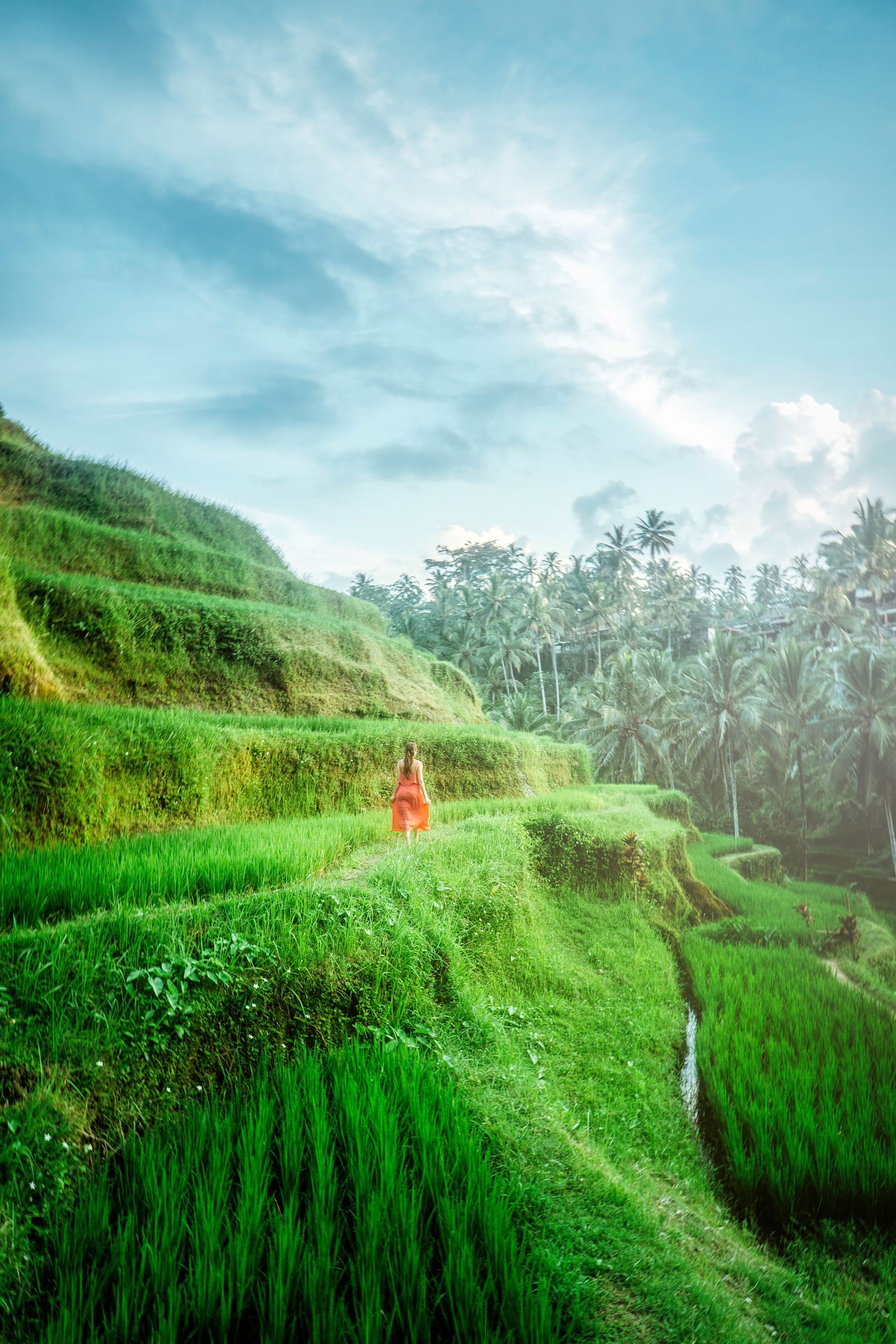 Fantastic Bali Tour with Nusa Penida Excursion image
