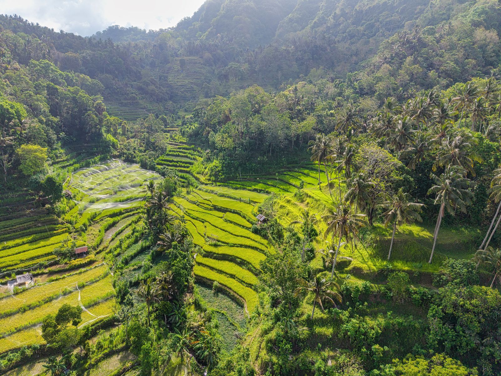 Exotic Bali Honeymoon Tour Package image