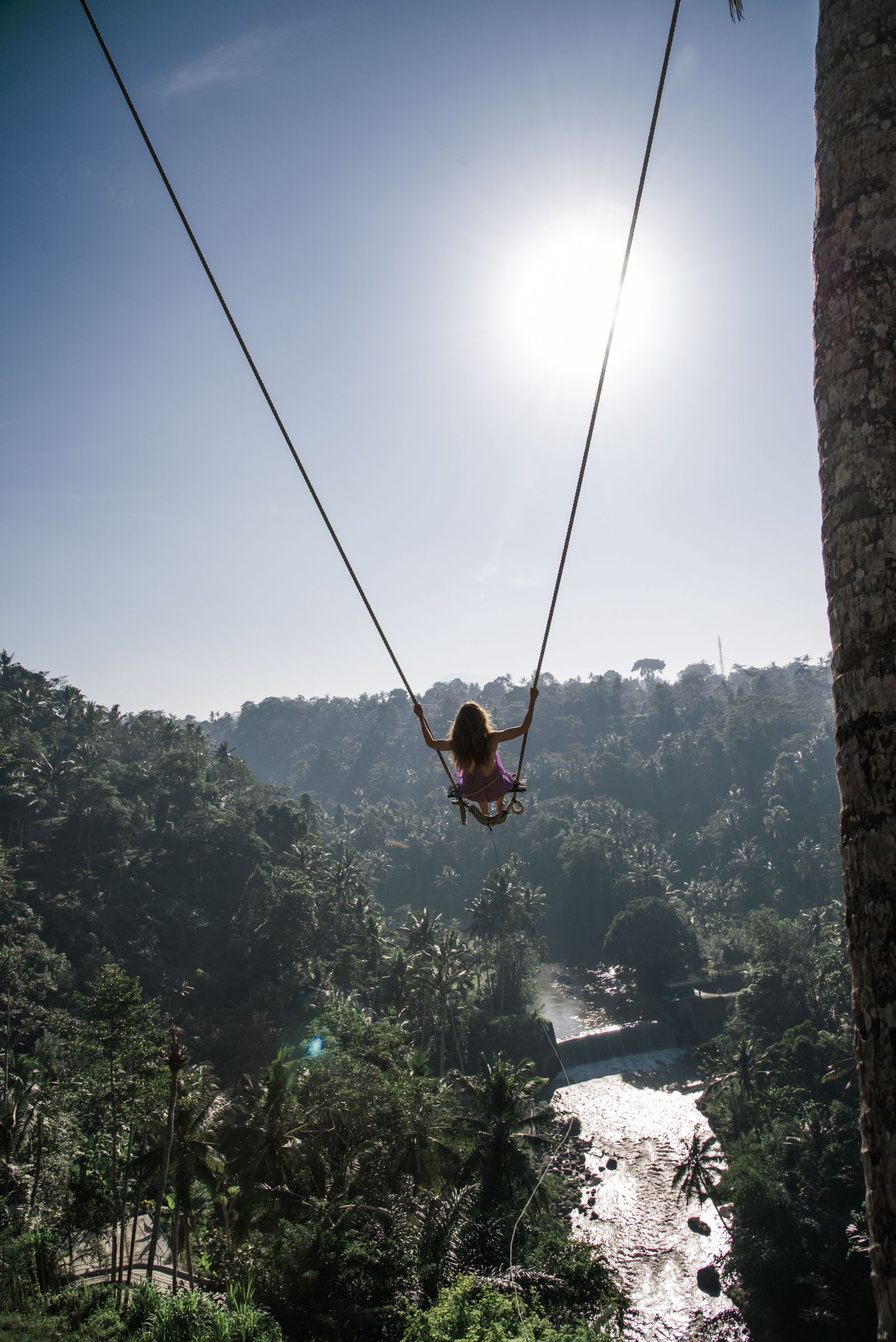Bali Honeymoon Delight Tour Package image