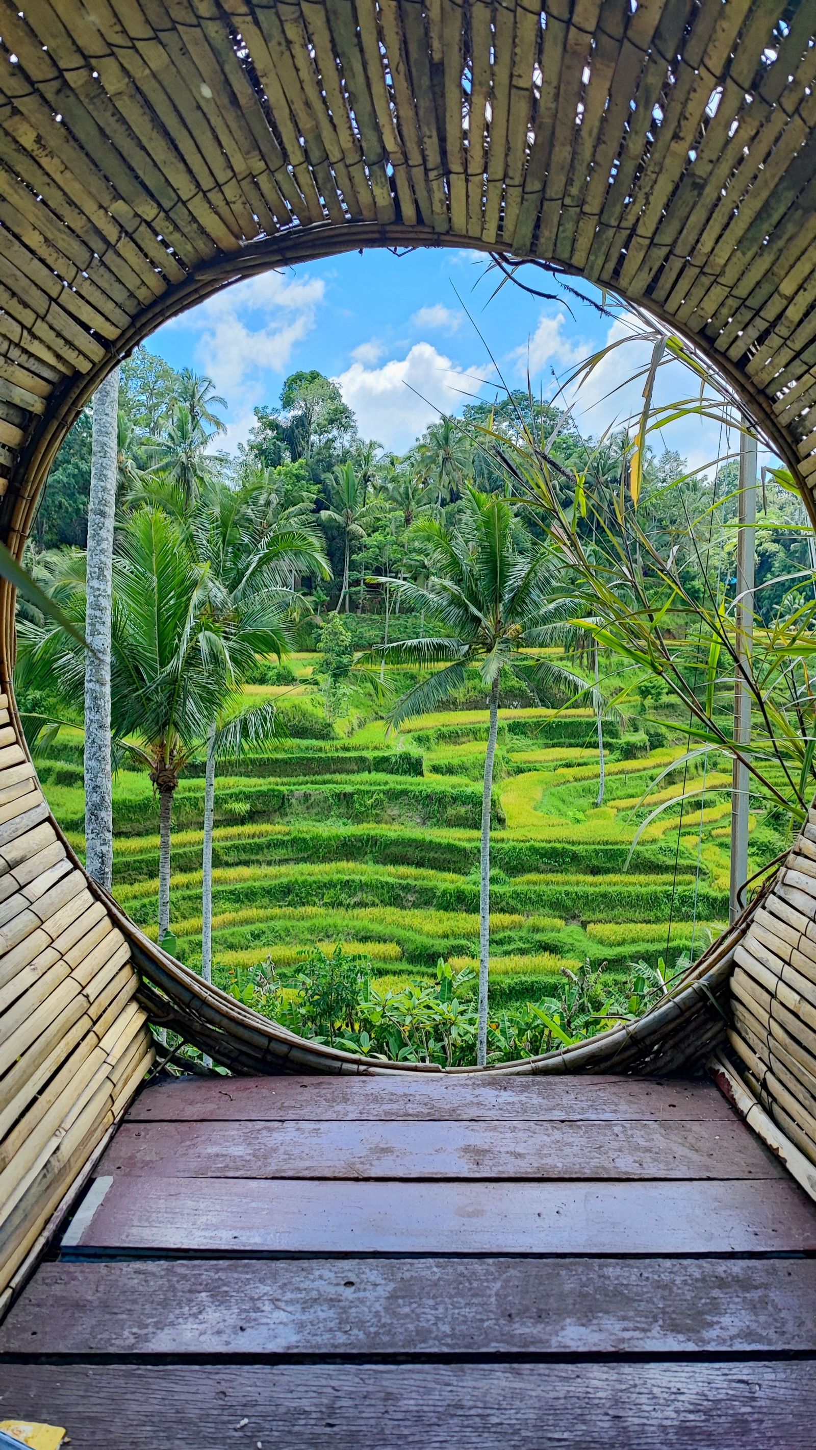 Bali Honeymoon Delight Tour Package image