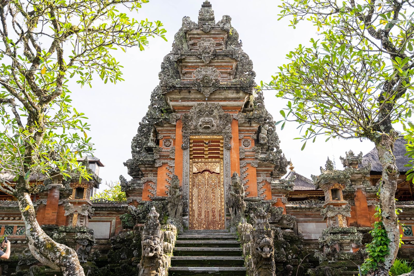 Bali Honeymoon Delight Tour Package image