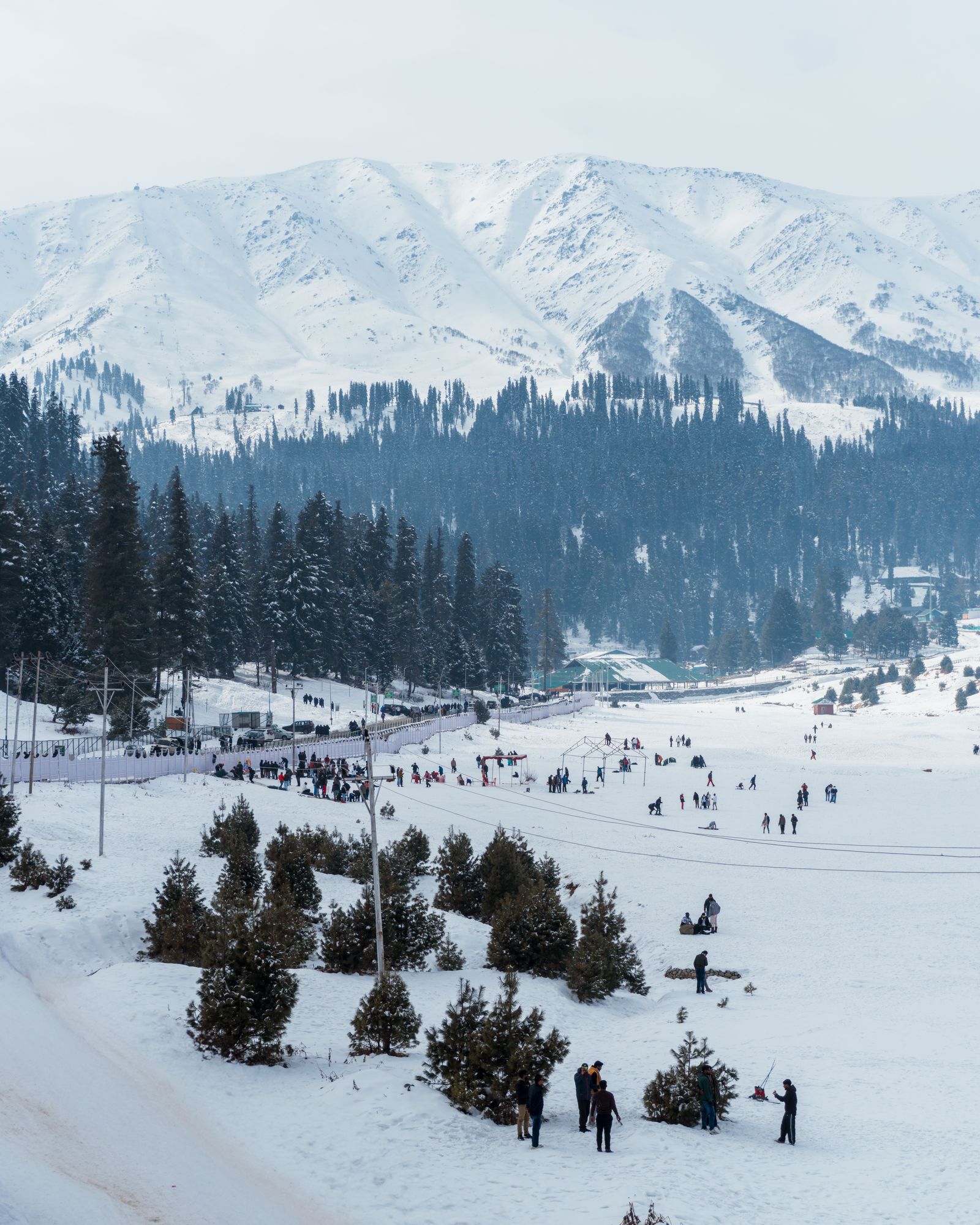 Romantic Kashmir Honeymoon Package image