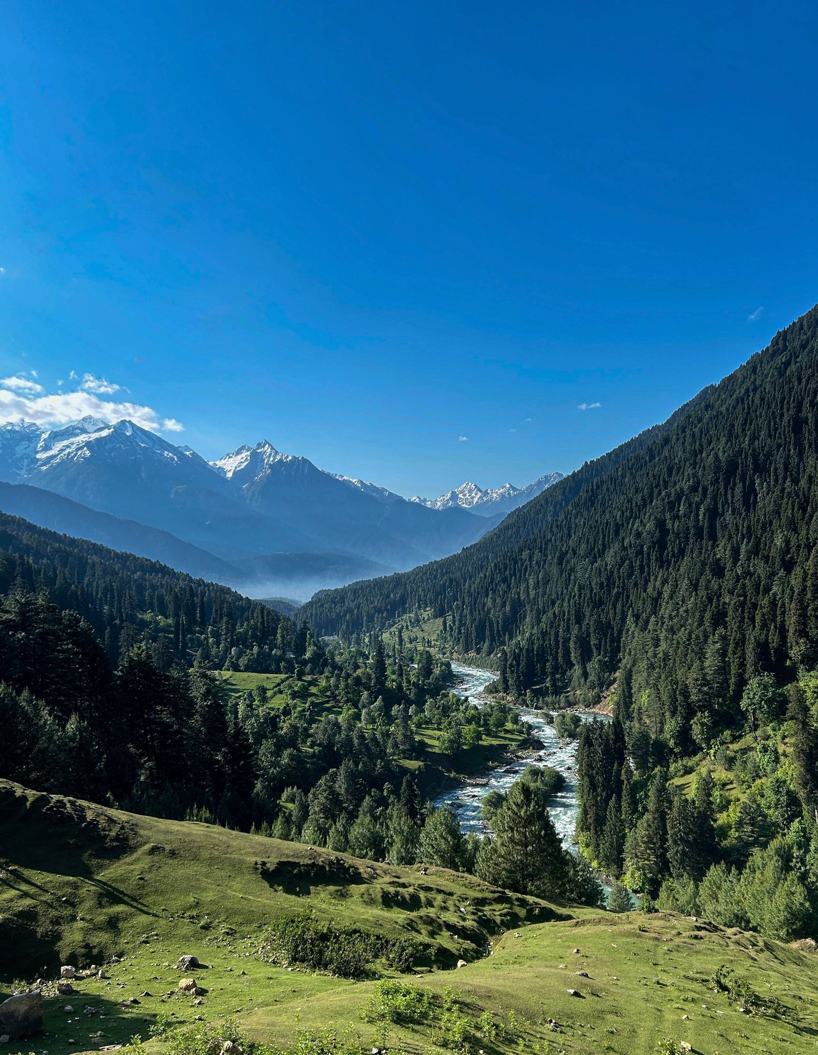 6 Days Tour to the Jewels of Kashmir image