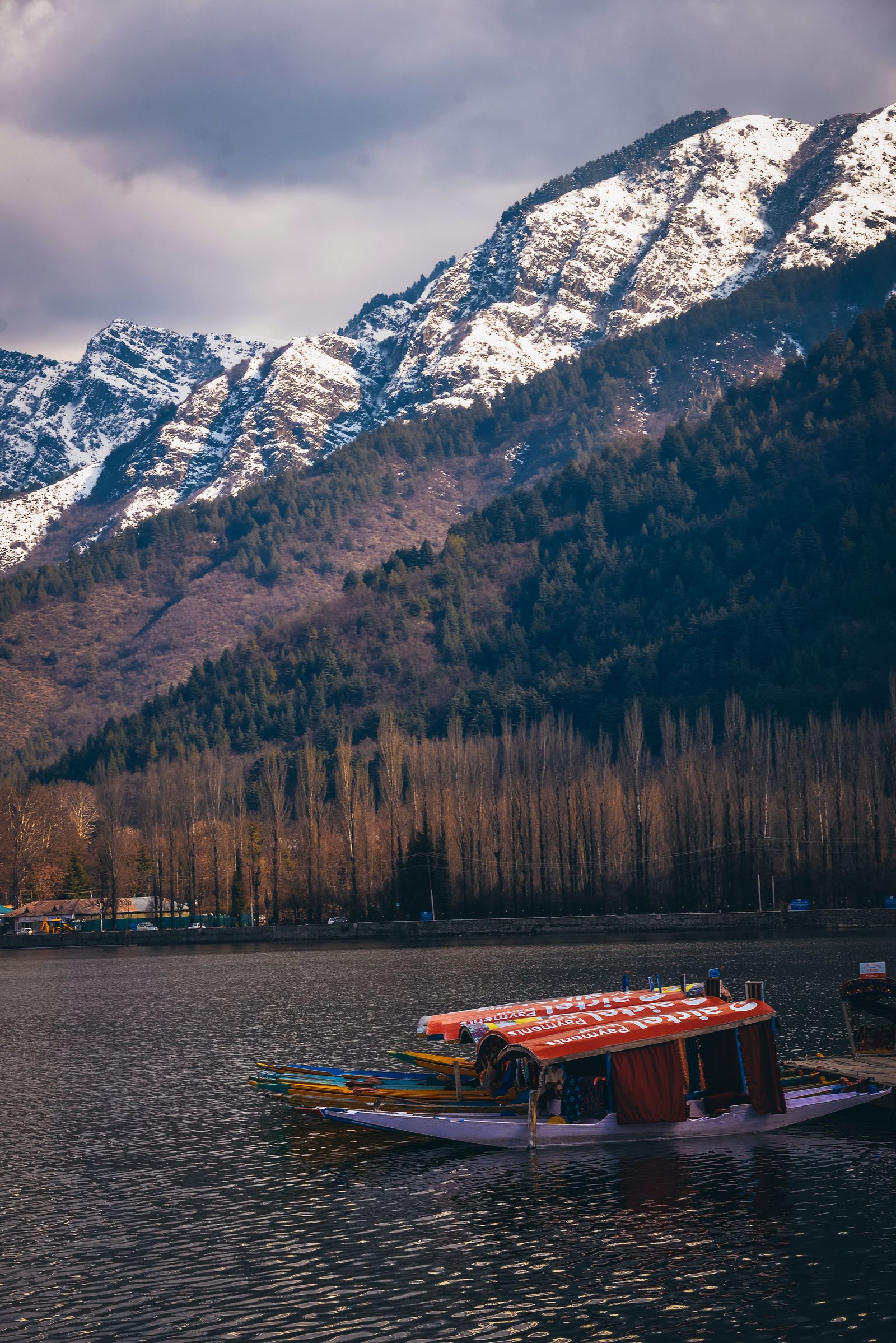Kashmir Group Trip: Classic Highlights to Offbeat Gurez Valley image