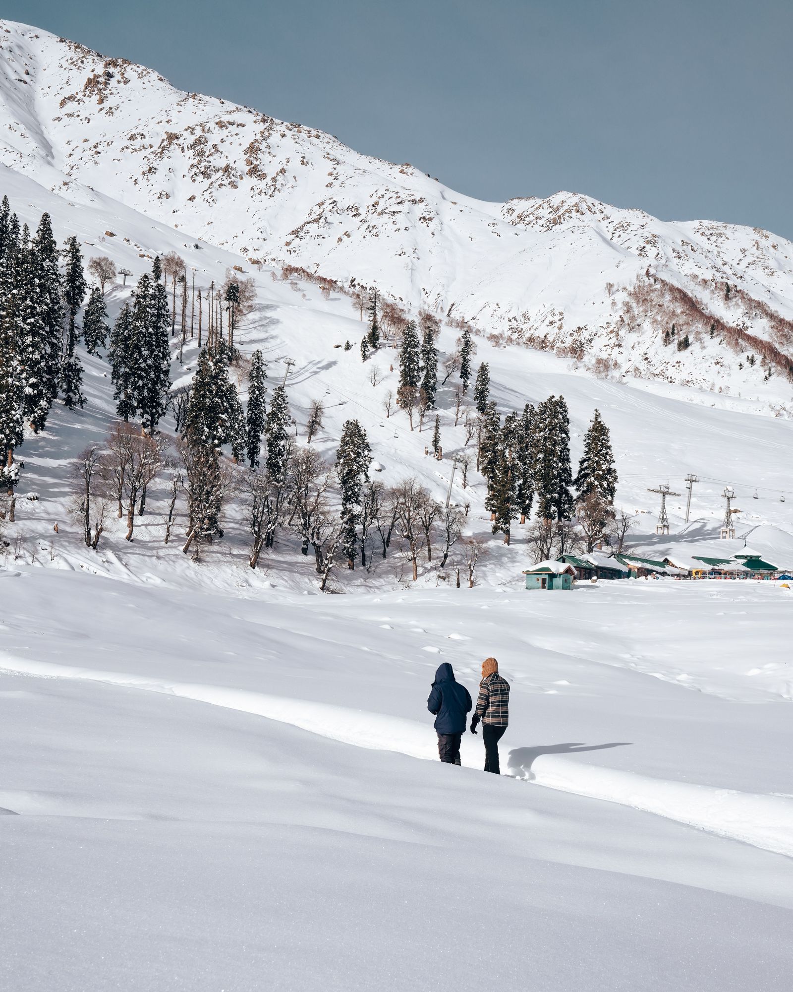 Magnificent Kashmir image