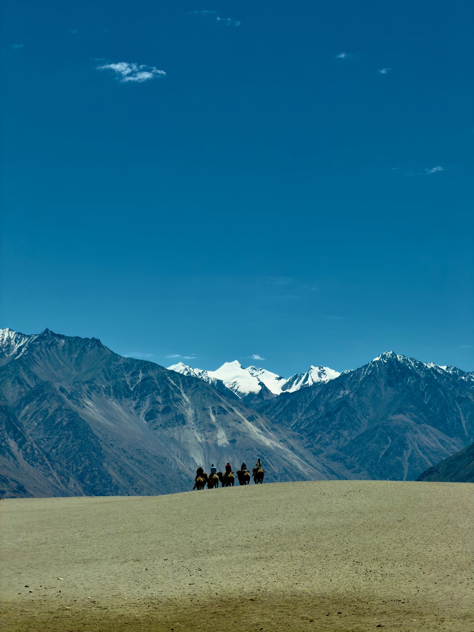 Manali to Srinagar Ladakh Trip with Umling La & Nubra Valley – Pocket Saver image