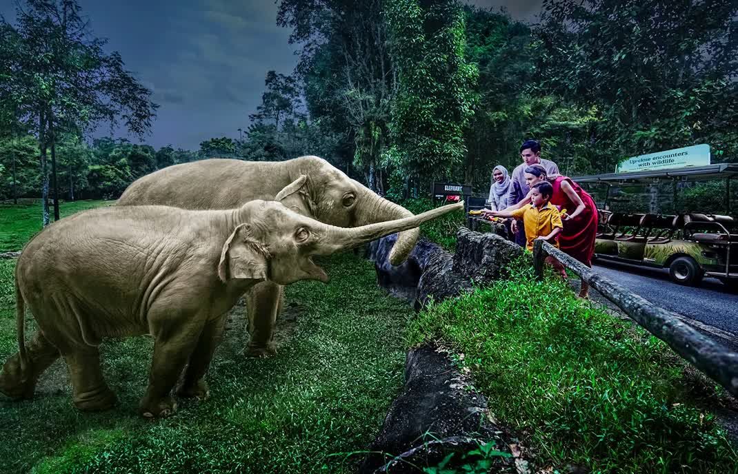 Scintillating Tour to Singapore image