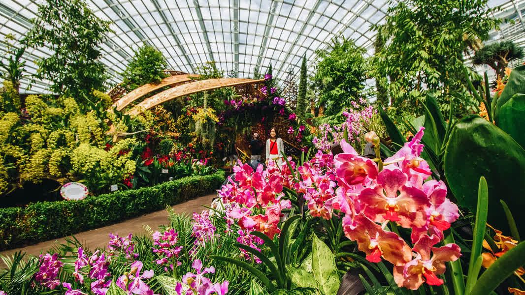 Scintillating Tour to Singapore image