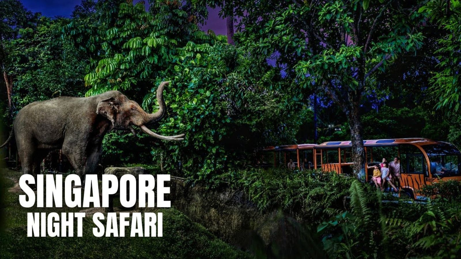 Alluring Singapore image