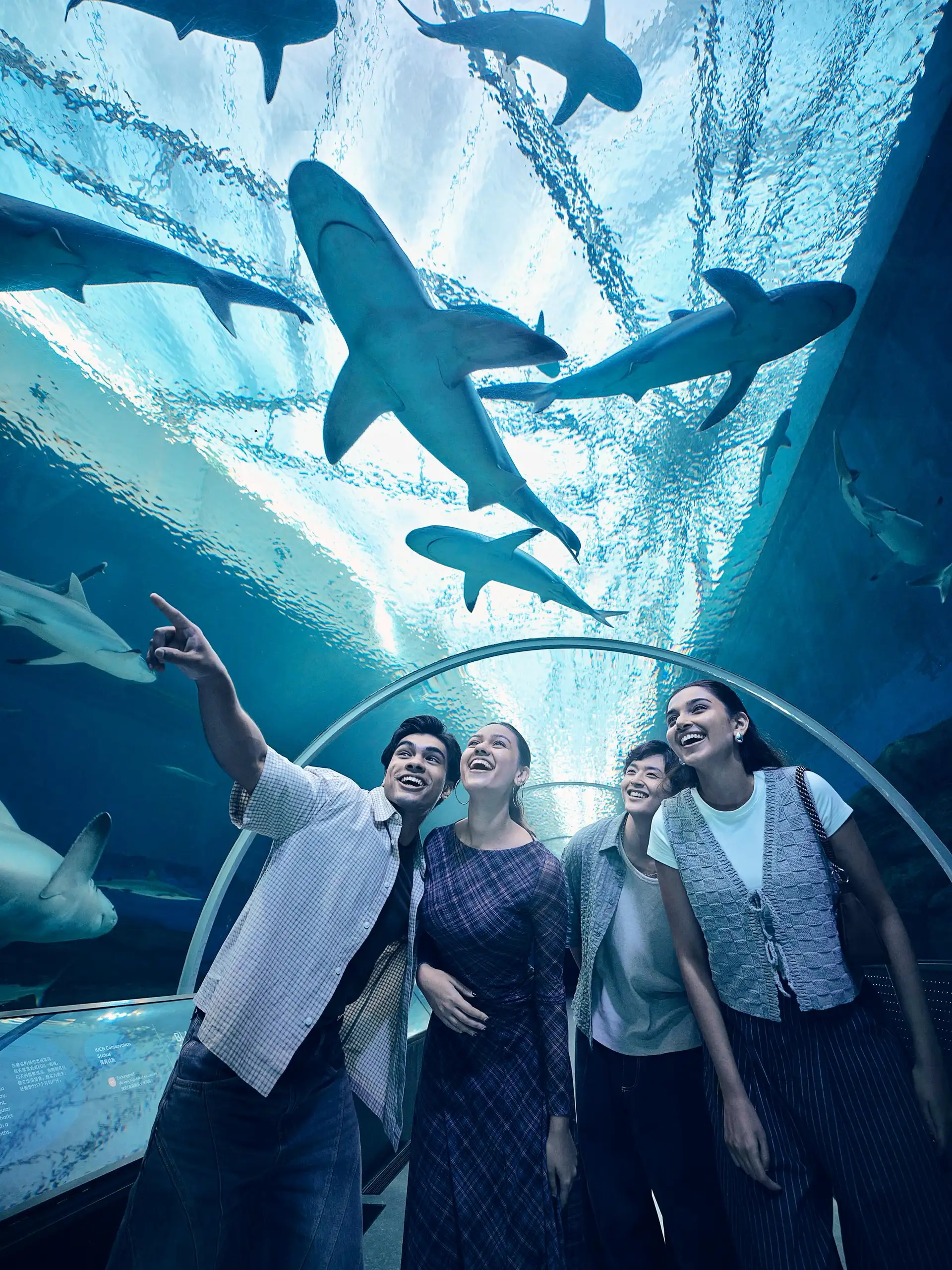 Singapore & Bintan Island Escape image