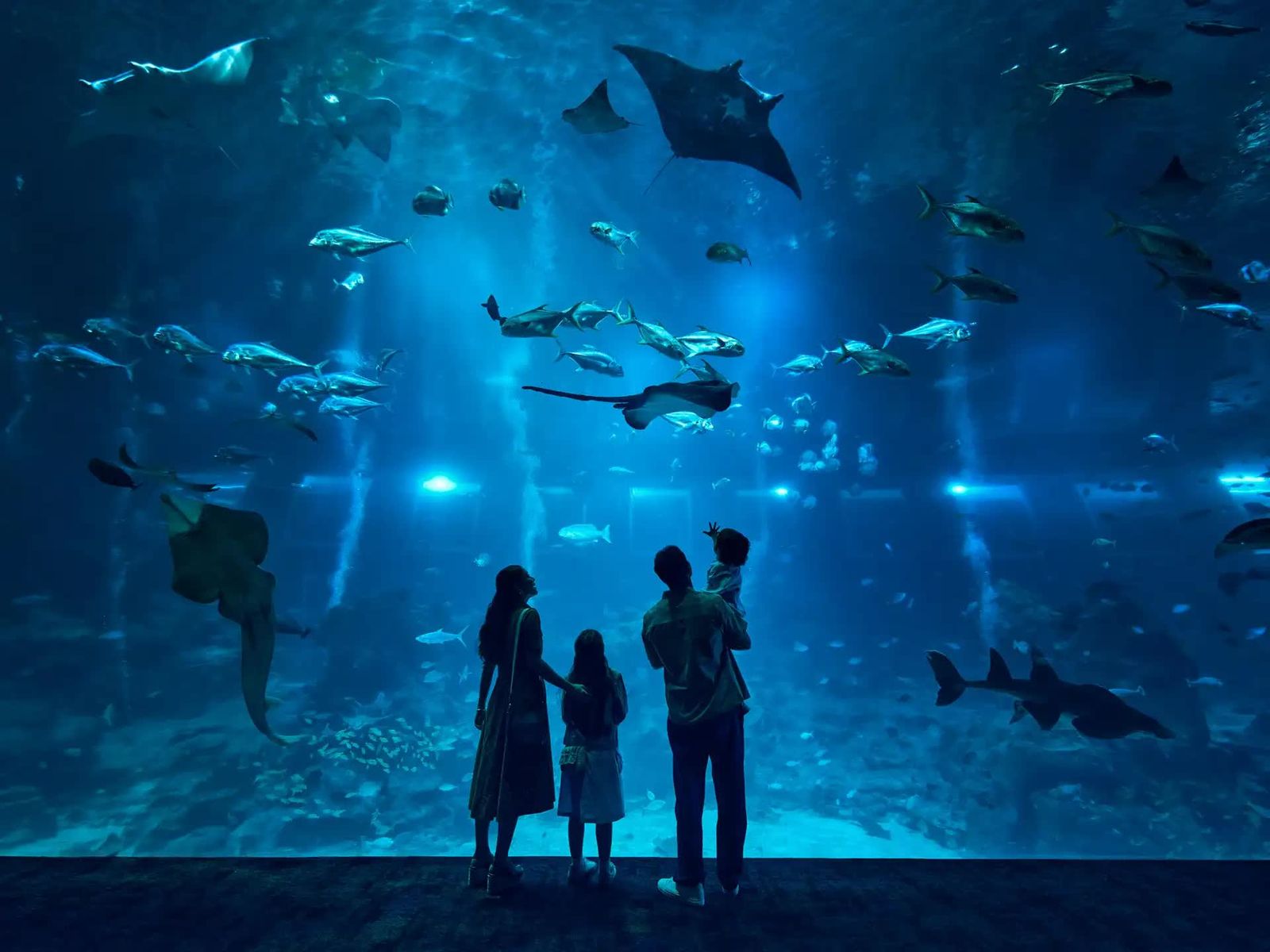 Breathtaking Singapore & Malaysia Tour Package image