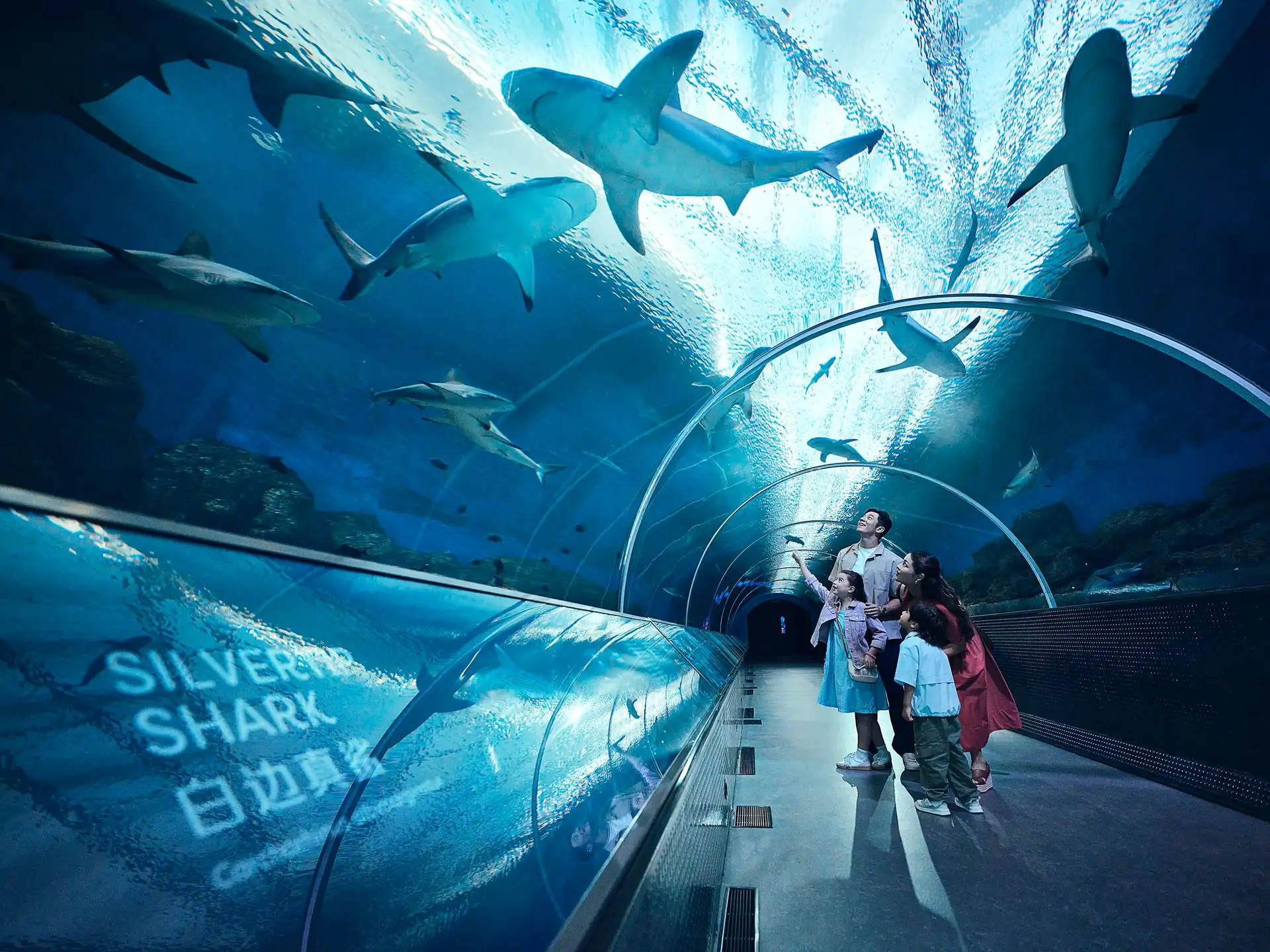Singapore & Malaysia Highlights image