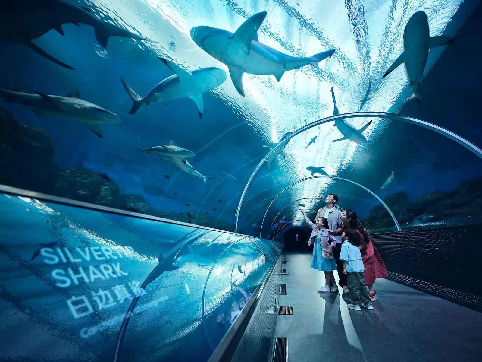 Singapore & Malaysia Highlights image