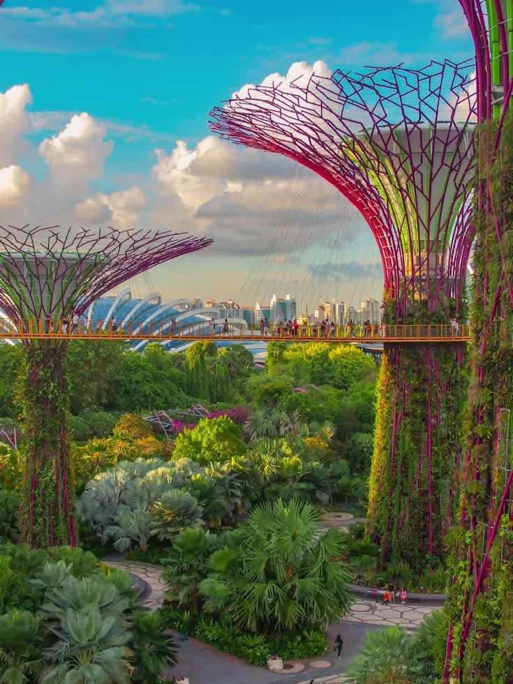 Singapore & Bintan Island Escape image