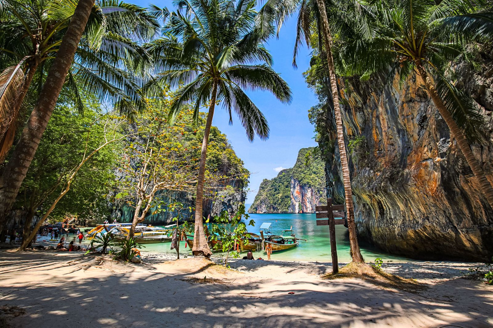 Bangkok Pattaya Phuket Tour with Phi Phi Island image