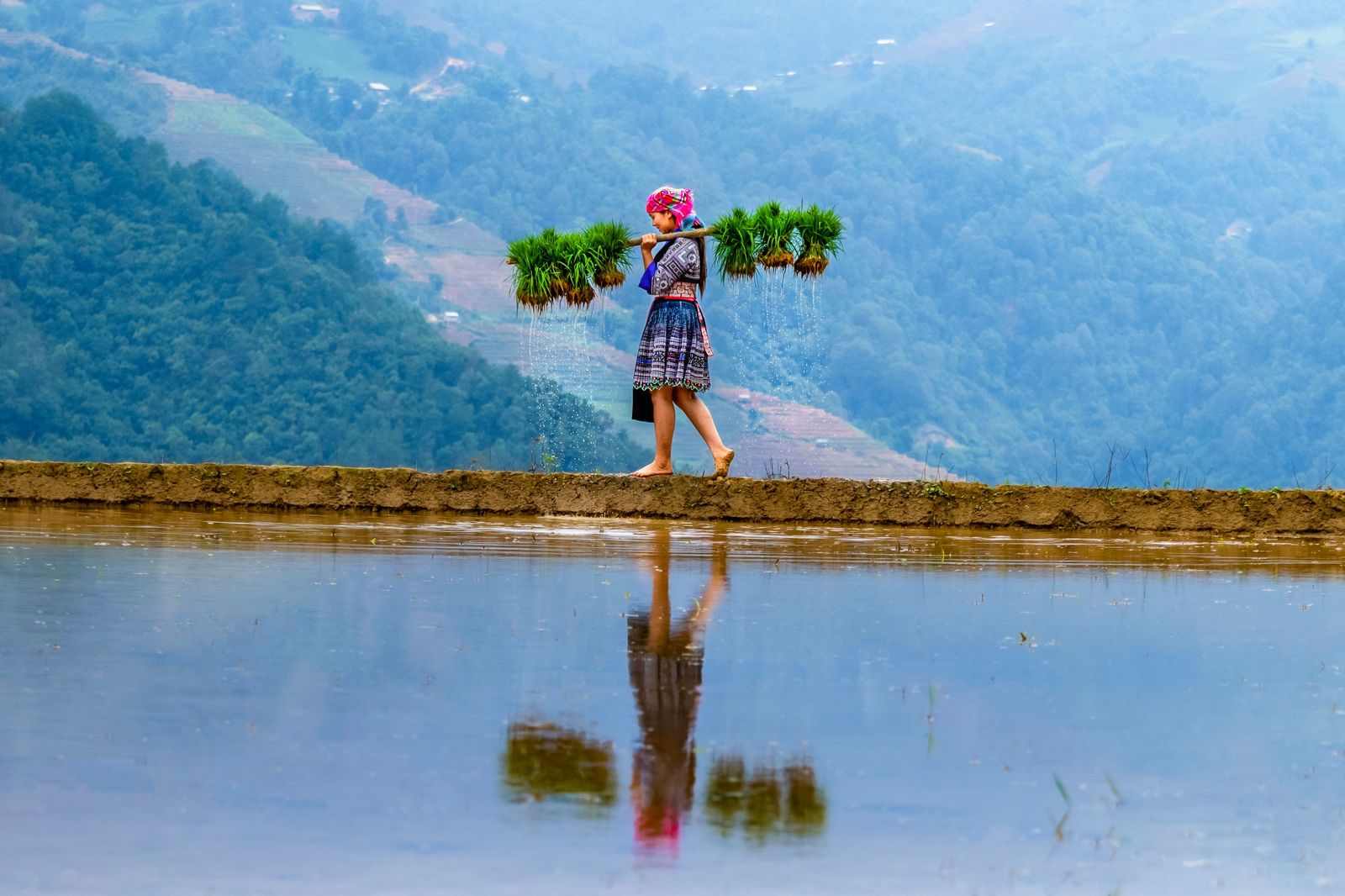 An Odyssey to Vietnam image