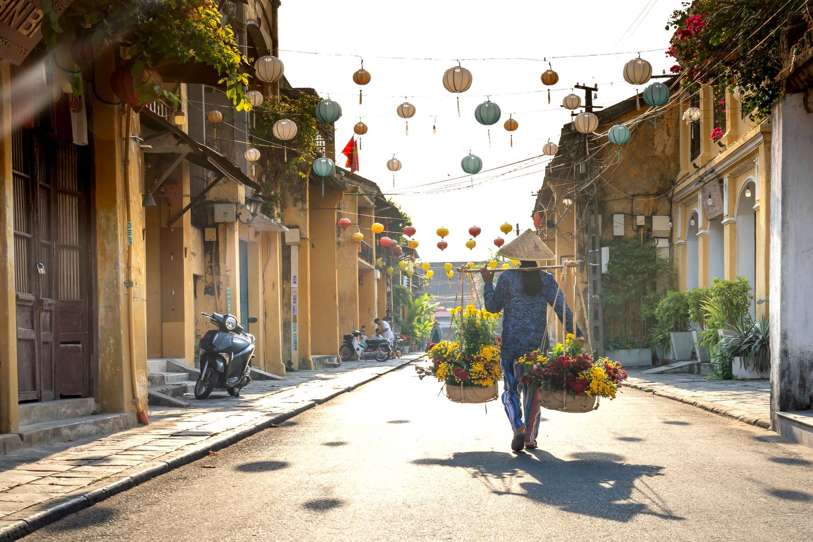 Best of North, South & Central Vietnam Tour Package image