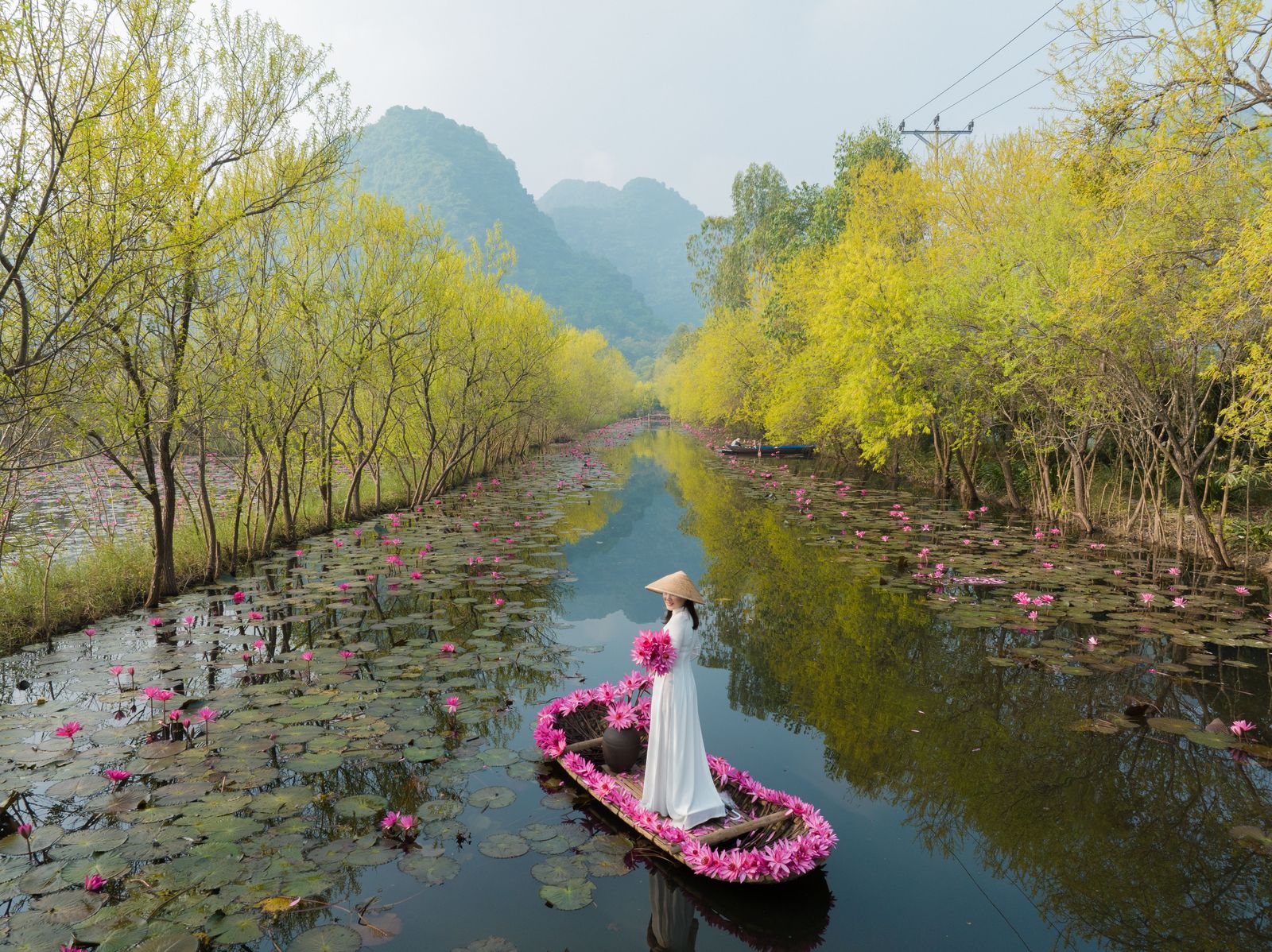 7 Days Luxurious Getaway to Vietnam with Nha Trang image