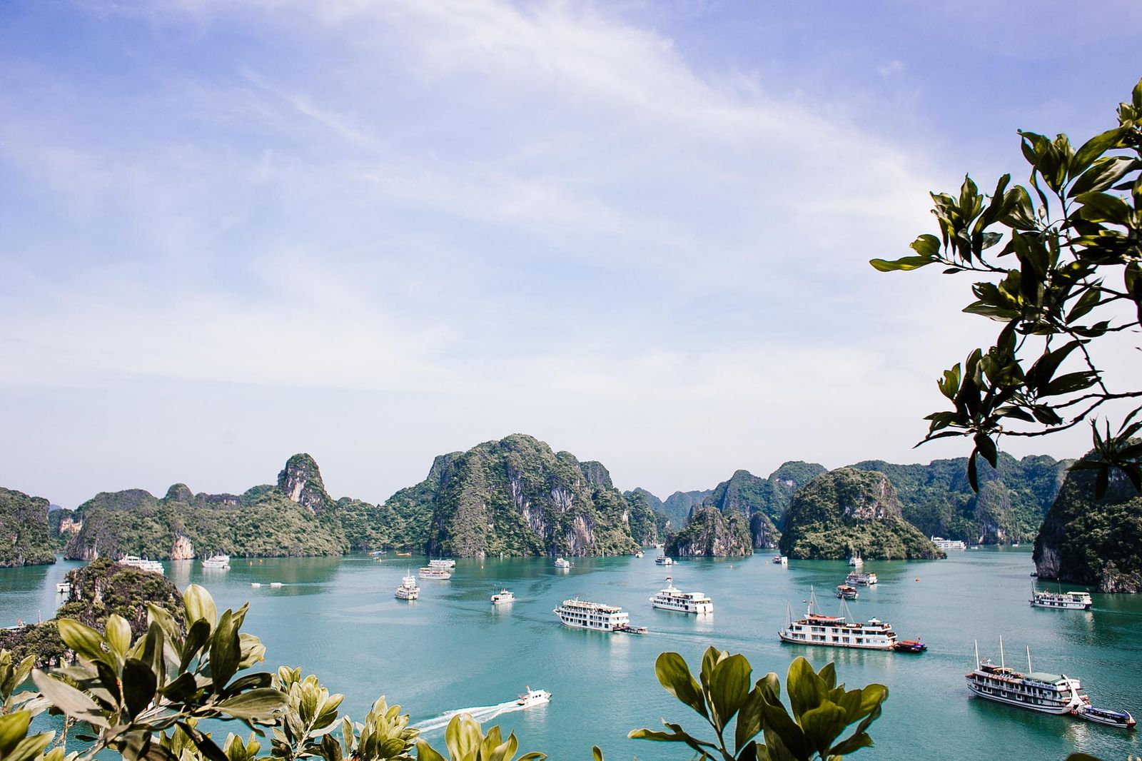 Taste the North and South of Vietnam image