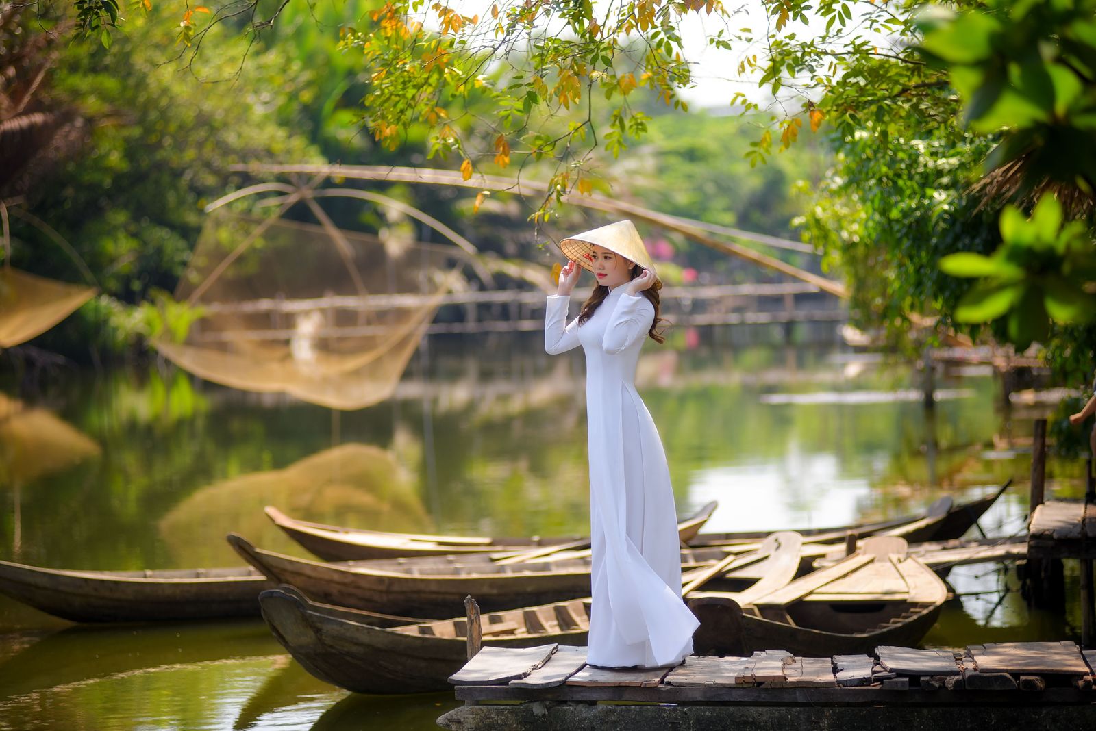 Taste the North and South of Vietnam image