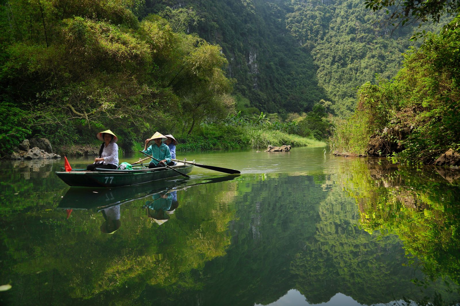 Taste the North and South of Vietnam image