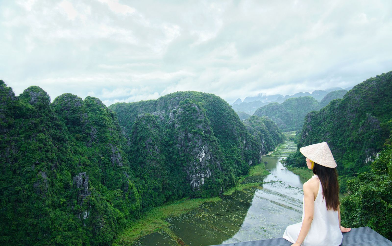 North + Phong Nha + Da Nang + Ho Chi Minh image