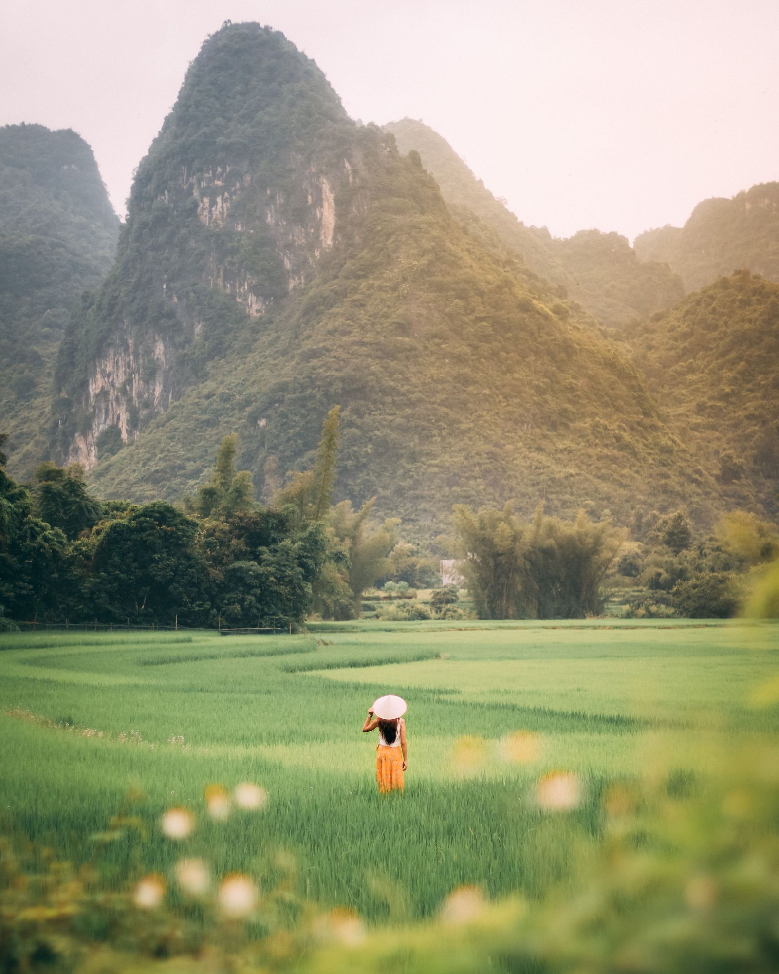 North + Phong Nha + Da Nang + Ho Chi Minh image