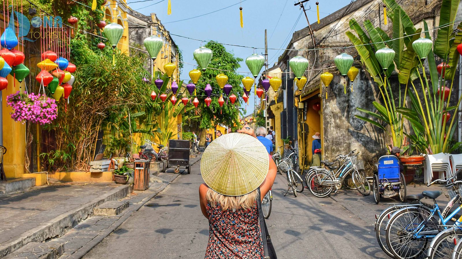 Taste the North and South of Vietnam image