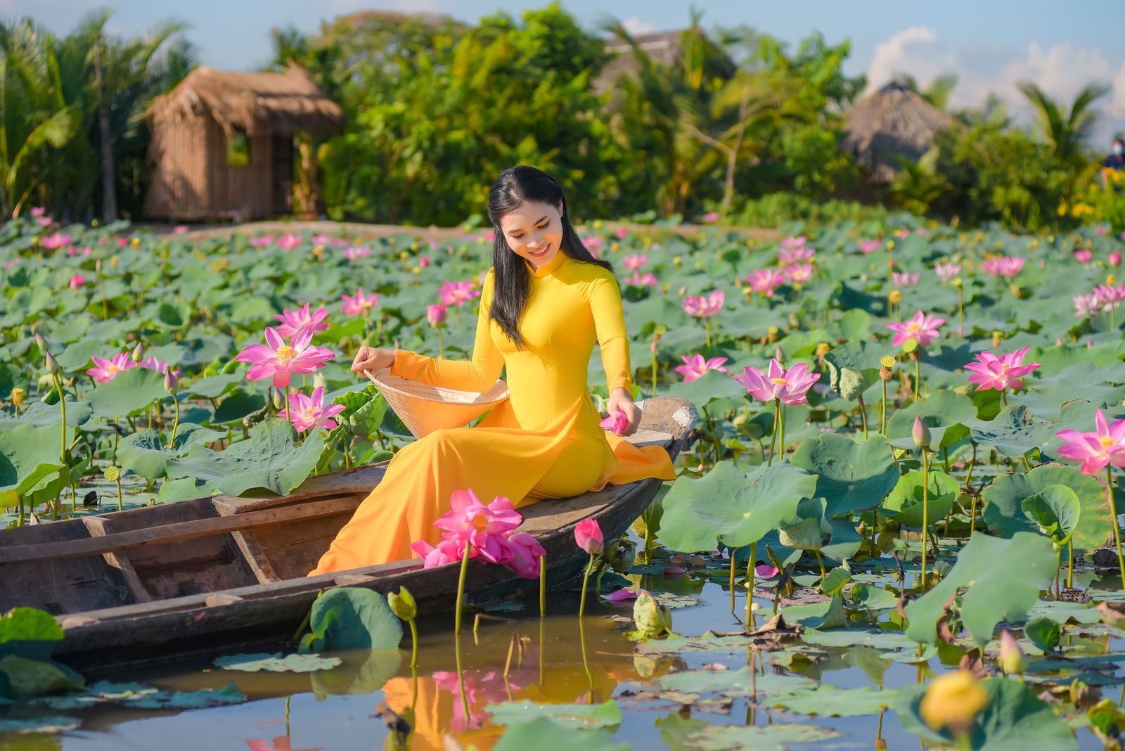 North + Central + Phu Quoc + South image