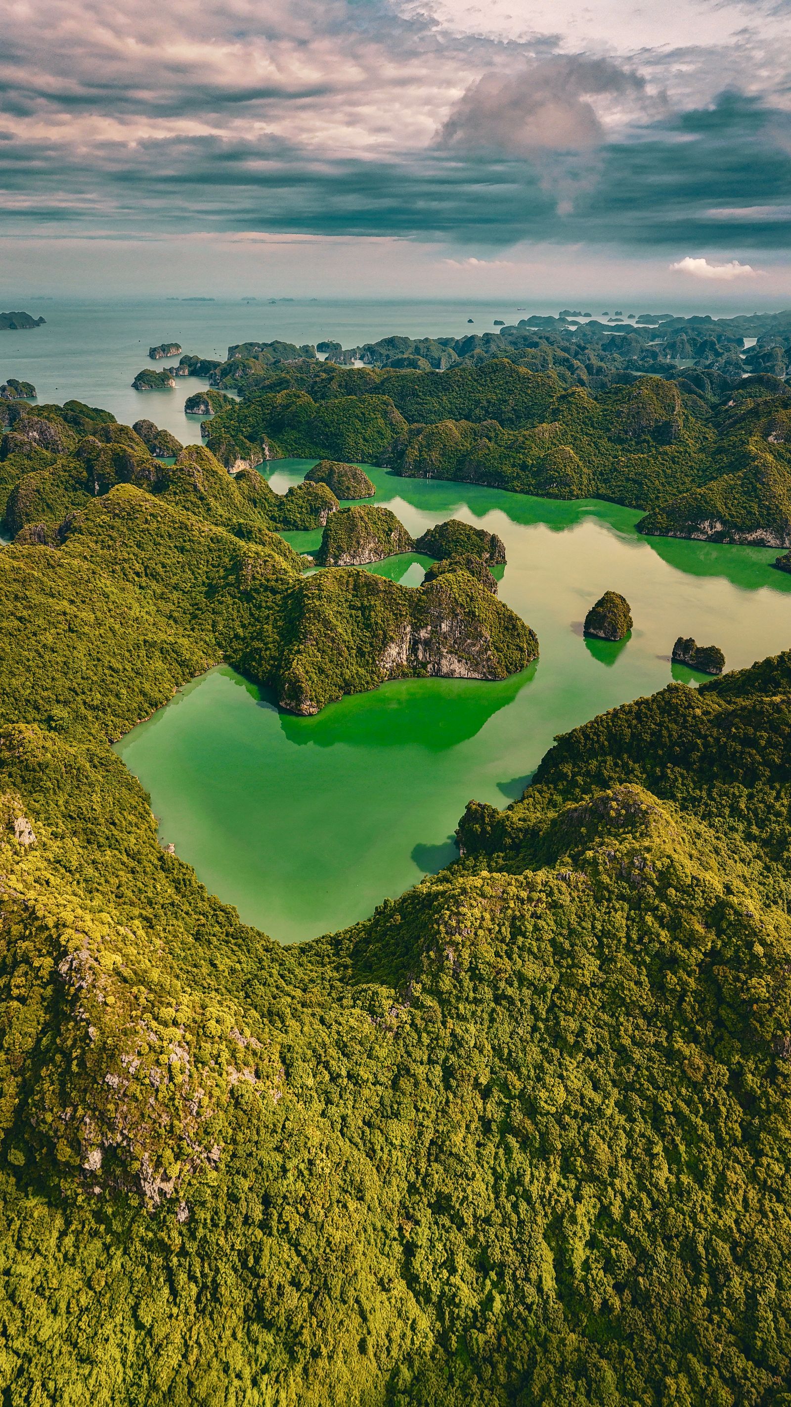 North + Phong Nha + Da Nang + Ho Chi Minh image