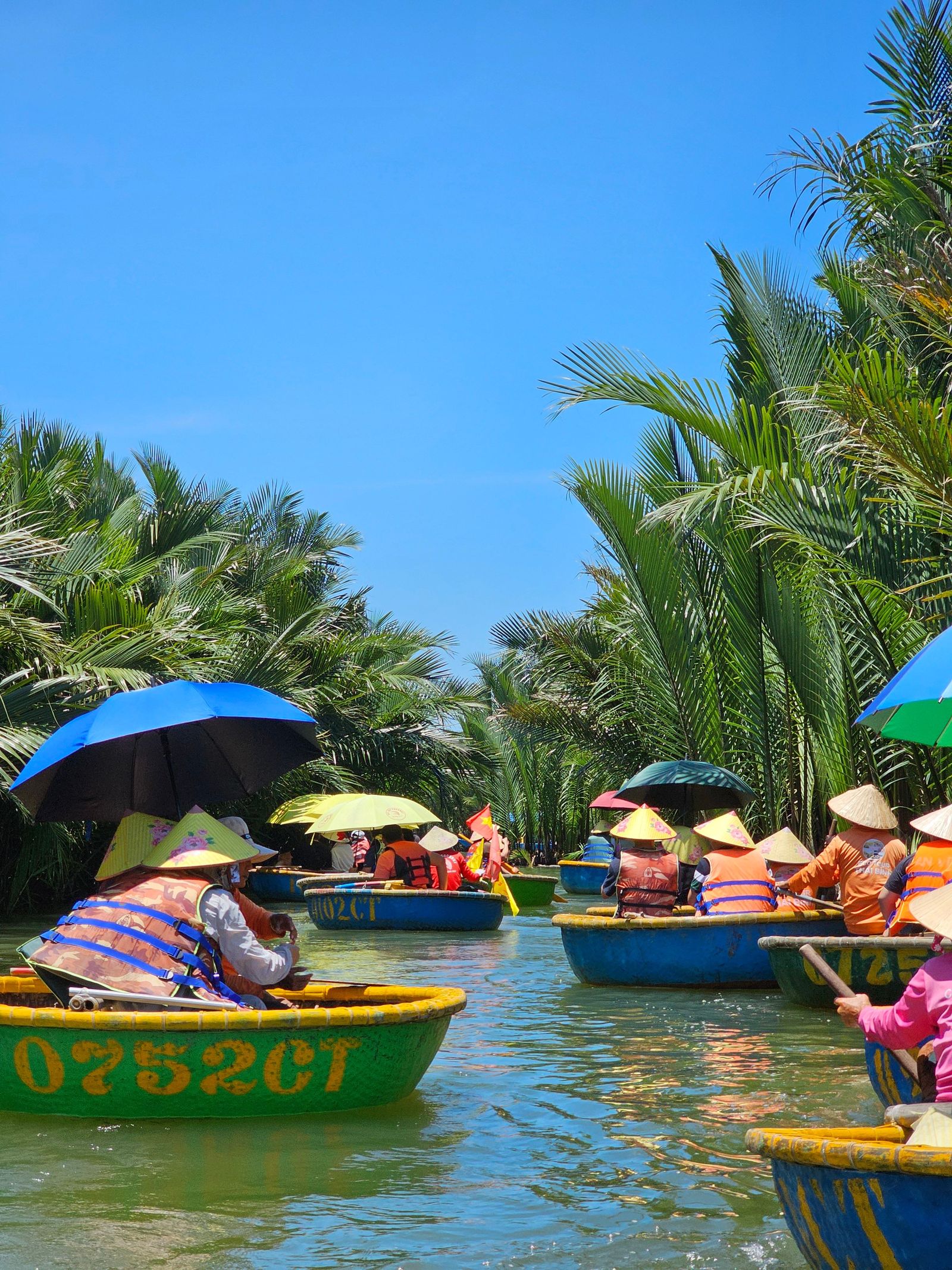 North + Phong Nha + Da Nang + Ho Chi Minh image